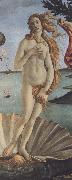 Sandro Botticelli The Birth of Venus (mk36) oil